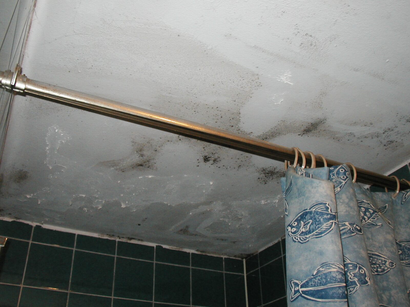 Schimmlige Wand in Euskirchen